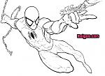 spiderman1.jpg