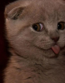 Sidinsor's Avatar
