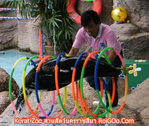 Korat Zoo สวนสัตว์นครราชสีมา
